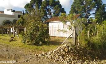 Imagem 2: Terreno Industrial com 3 Dormitorio(s) localizado(a) no bairro Ana Rech em Caxias do Sul