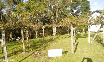 Imagem 4: Terreno Industrial com 3 Dormitorio(s) localizado(a) no bairro Ana Rech em Caxias do Sul