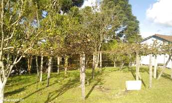 Imagem 6: Terreno Industrial com 3 Dormitorio(s) localizado(a) no bairro Ana Rech em Caxias do Sul