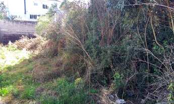 Imagem 2: Terreno com 1 Dormitorio(s) localizado(a) no bairro Saint Etienne em Caxias do Sul / RIO