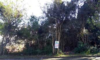 Imagem 6: Terreno com 1 Dormitorio(s) localizado(a) no bairro Saint Etienne em Caxias do Sul / RIO