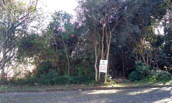 Imagem 4: Terreno com 1 Dormitorio(s) localizado(a) no bairro Saint Etienne em Caxias do Sul / RIO