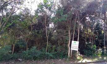 Imagem 5: Terreno com 1 Dormitorio(s) localizado(a) no bairro Saint Etienne em Caxias do Sul / RIO