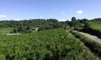 Imagem: Chácara em Fazenda Souza