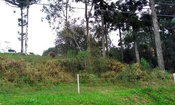 Imagem: Terreno Industrial no Desvio Rizzo