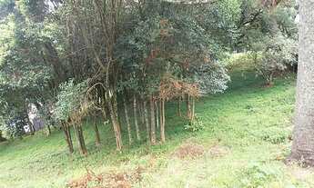 Imagem: Terreno com 7 Dormitorio(s) localizado(a)