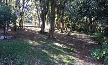 Imagem 5: Chácara de 1 hectare na Boca da Serra