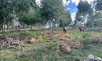 Imagem: Chácara no Condomínio Rota do Sol