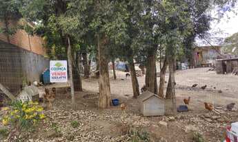 Imagem: Terreno plano no bairro Bela Vista