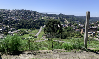 Imagem: Terreno com 2 Dormitorio(s) localizado(a)