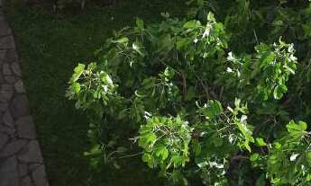 Imagem: Loja com 3 Dormitorio(s) localizado(a) no