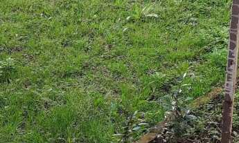 Imagem 4: Loja com 3 Dormitorio(s) localizado(a) no bairro Salgado Filho em Caxias do Sul / Rio Gra