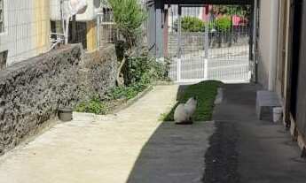 Imagem 3: Casa com 3 Dormitorio(s) localizado(a) no bairro Santa Fé em Caxias do Sul / Rio Grande d