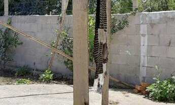 Imagem 5: Casa com 3 Dormitorio(s) localizado(a) no bairro Santa Fé em Caxias do Sul / Rio Grande d