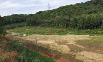 Imagem 3: Terreno linha 40, com 225m de frente X 84m