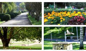 Imagem 2: Apartamento com 3 Dormitorio(s) localizado(a) no bairro Centro em Caxias do Sul / Rio Gra