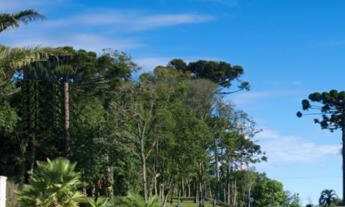 Imagem 4: Terreno com 1 Dormitorio(s) localizado(a) no bairro São Ciro em Caxias do Sul / Rio Grand