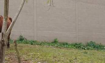 Imagem: Terreno com 2 Dormitorio(s) localizado(a)