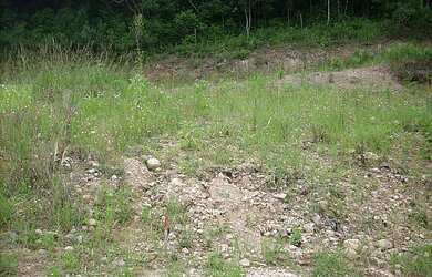 Imagem 3: Terreno com 3 Dormitorio(s) localizado(a) no bairro São Luiz em Caxias do Sul / RIO GRAND