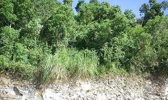 Imagem: Terreno com 3 Dormitorio(s) localizado(a)