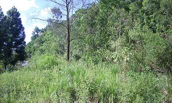 Imagem 3: Terreno com 3 Dormitorio(s) localizado(a) no bairro Oriental em Caxias do Sul / Rio Grand