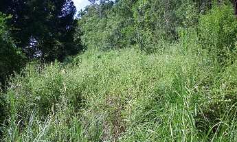 Imagem 4: Terreno com 3 Dormitorio(s) localizado(a) no bairro Oriental em Caxias do Sul / Rio Grand