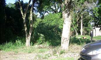 Imagem: Terreno com 2 Dormitorio(s) localizado(a)