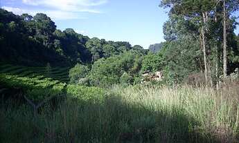 Imagem 5: Terreno com 2 Dormitorio(s) localizado(a) no bairro N. Sra das Graças em Caxias do Sul