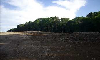 Imagem 6: Terreno com 2 Dormitorio(s) localizado(a) no bairro N. Sra das Graças em Caxias do Sul