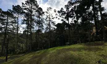 Imagem 3: Lote a venda em Gramado no cond. Aspen Mountain