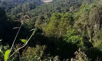Imagem 3: Chácara em Guaporé co 15 hectares