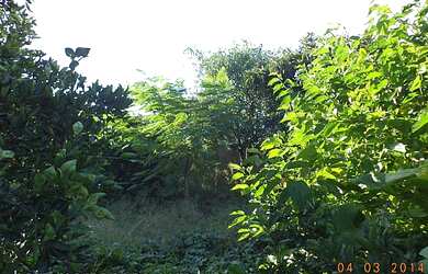 Imagem 2: Casa com 2 Dormitorio(s) localizado(a) no bairro Mathias Velho em Canoas / Rio Grande do