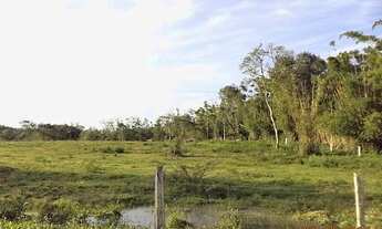 Imagem: Área de Terra com 2 Dormitorio(s) localizado(a)