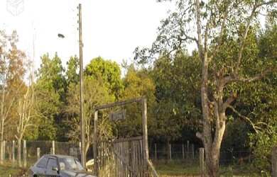 Imagem 6: Área de Terra com 2 Dormitorio(s) localizado(a) no bairro Polo petroquimico em Montenegro