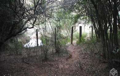 Imagem 7: Área de Terra com 2 Dormitorio(s) localizado(a) no bairro Polo petroquimico em Montenegro