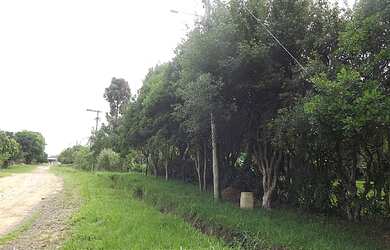 Imagem 5: Terreno com 4 Dormitorio(s) localizado(a) no bairro Berto Círio em Santa Rita / Rio Grand