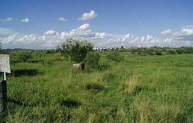 Imagem: Terreno com 4 Dormitorio(s) localizado(a)