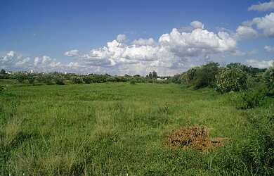 Imagem 3: Terreno com 4 Dormitorio(s) localizado(a) no bairro Mato Grande em Canoas / Rio Grande do