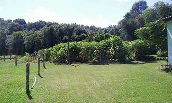 Imagem: Sítio com 4 Dormitorio(s) localizado(a)