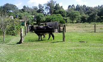 Imagem 4: Sítio com 4 Dormitorio(s) localizado(a) no bairro . em Vendinha / Rio Grande do Sul Ref.