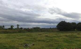 Imagem 5: Área de Terra com 4 Dormitorio(s) localizado(a) no bairro . em Nova Santa Rita / Rio Gran