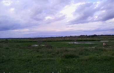 Imagem 5: Área de Terra com 4 Dormitorio(s) localizado(a) no bairro . em Nova Santa Rita / Rio Gran
