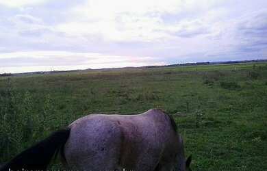Imagem 2: Área de Terra com 4 Dormitorio(s) localizado(a) no bairro . em Nova Santa Rita / Rio Gran