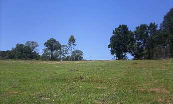Imagem 2: Área de Terra com 3 Dormitorio(s) localizado(a) no bairro Sanga Funda em Nova Santa Rita