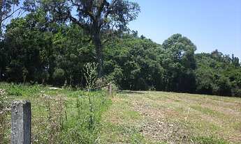 Imagem 3: Área de Terra com 3 Dormitorio(s) localizado(a) no bairro Sanga Funda em Nova Santa Rita