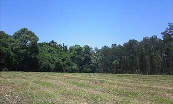 Imagem 4: Área de Terra com 3 Dormitorio(s) localizado(a) no bairro Sanga Funda em Nova Santa Rita