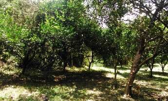 Imagem 5: Terreno com 3 Dormitorio(s) localizado(a) no bairro Nossa Chácara em GRAVATAI / Rio Grand