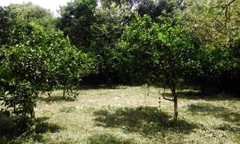 Imagem 6: Terreno com 3 Dormitorio(s) localizado(a) no bairro Nossa Chácara em GRAVATAI / Rio Grand