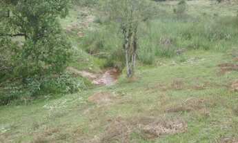 Imagem 6: Terreno com 3 Dormitorio(s) localizado(a) no bairro Bela Vista em Igaroi (Orós) / Rio Gra