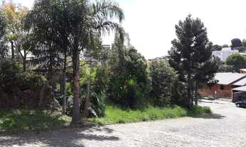 Imagem 6: Terreno com 3 Dormitorio(s) localizado(a) no bairro Paracuri (Icoaraci) em Igaroi (Orós